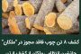 مقام سومی تیم های کاراته ملکان و شبستر در نخستین دوره مسابقات آزاد کاپ ارس