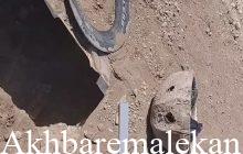 ناکام ماندن فرد متخلف زنده گیری پرندگان وحشی در شهرستان ملکان