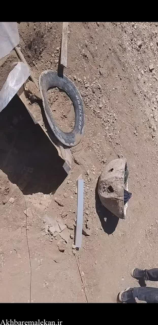 ناکام ماندن فرد متخلف زنده گیری پرندگان وحشی در شهرستان ملکان
