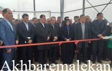معاون امور باغبانی وزارت جهاد کشاورزی: آذربایجان شرقی با تولیدسالانه پنج میلیون تن انواع محصولات کشاورزی در صف اول امنیت غذایی کشور است