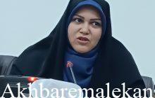 دهیاران ضمن تعامل با مدیران سازمان های دولتی؛ پروژه های عمرانی را بموقع اجرا نمایند/ مدرسه تیزهوشان در ملکان سال آینده فعالیت خود را آغاز می کند