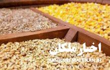 محکومیت ۱۰ میلیاردی فروشنده ملکانی بخاطر عرضه نهاده دامی خارج از ضابطه