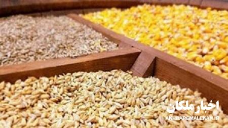 محکومیت ۱۰ میلیاردی فروشنده ملکانی بخاطر عرضه نهاده دامی خارج از ضابطه