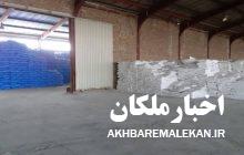 توزیع ۲۱۵ تن کود شیمیایی سوپرفسفات تریپل در شهرستان ملکان