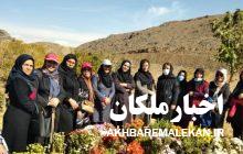 طرح های طبیعت گردی و پارک گام بانوان شهرهای ملکان،مراغه و بناب برگزار شد