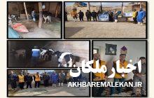 واکسیناسیون، ویزیت و سمپاشی رایگان دام به مناسبت هفته بسیج در شهرستان ملکان
