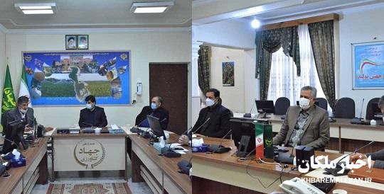 سازمان تعاون روستایی کشمش باغداران ملکانی را خریداری می کند