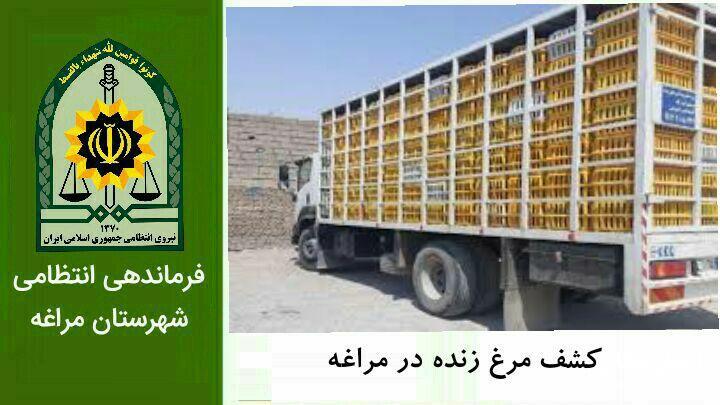 کشف نزدیک به ۵ تن مرغ زنده فاقد مجوز در مراغه