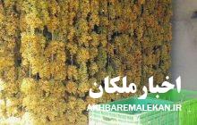 باغداران عزیز سموم و پودر کربنات پتاسیم را از مراکز مجاز و دارای پروانه فعالیت خریداری نمایند