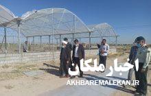 فاز نخست شهرک گلخانه ای شهرستان ملکان تا پایان مهرماه سالجاری افتتاح می شود