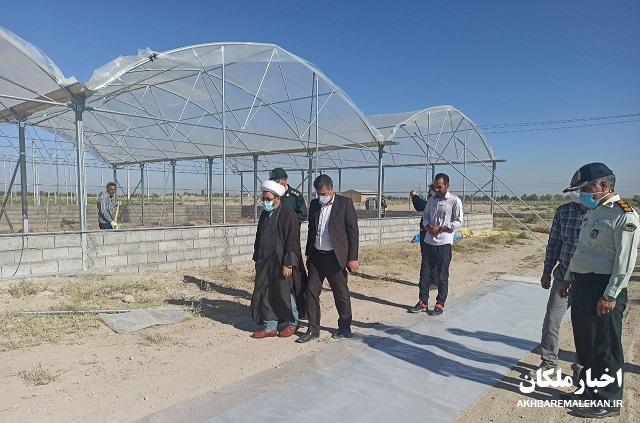 فاز نخست شهرک گلخانه ای شهرستان ملکان تا پایان مهرماه سالجاری افتتاح می شود