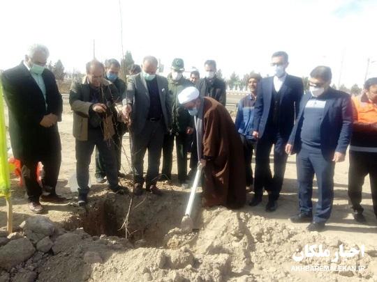 آیین گرامیداشت روز درختکاری در ملکان برگزار شد/کاشت ۲۳۰ اصله نهال در هفته منابع طبیعی به یاد شهدای منطقه