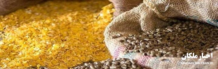 کشف ۲۵ تن نهاده دامی قاچاق در مراغه