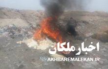 معدوم کردن ۵۰۰ کیلوگرم کره تقلبی در ملکان