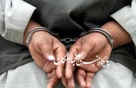 ۱۵تصرف کننده اراضی ملی در ملکان دستگیر شدند