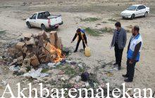 کشف، ضبط و معدوم سازی ۵۱۶ کیلوگرم تخم مرغ غیر بهداشتی در ملکان