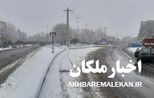 بارش نخستین برف زمستانی در شهرستان ملکان باعث خوشحالی کشاورزان شد