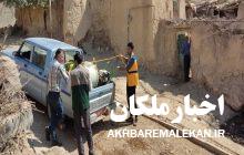 واکسیناسیون و سمپاشی رایگان دام به مناسبت هفته دفاع مقدس در شهرستان ملکان