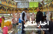 نظارت بهداشتی ویژه ایام تاسوعا و عاشورای حسینی در شهرستان ملکان