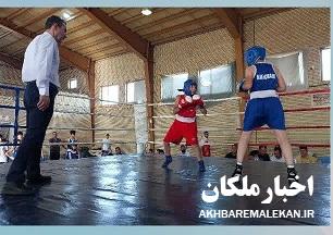 قهرمانی تیم بوکس ملکان در مسابقات چهار جانبه
