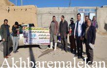 عملکرد اداره دامپزشکی شهرستان ملکان در دهه مبارک فجر تشریح شد