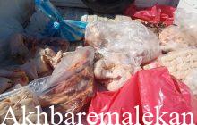 معدوم سازی بیش از ۴۷۰ کیلوگرم گوشت مرغ و آلایش دامی در شهرستان ملکان