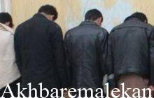 اجرای طرح هجرت و جمع آوری تعداد ۵ نفر از اتباع غیرمجاز در 