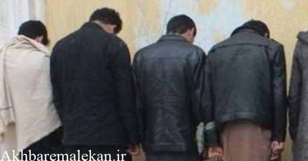 اجرای طرح هجرت و جمع آوری تعداد ۵ نفر از اتباع غیرمجاز در 
