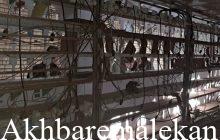 کشف و ضبط ۷۷ دستگاه ماینر در یک واحد تولیدی در شهرستان ملکان