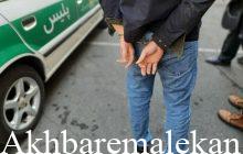 دستگیری سارق سابقه‌دار در ملکان