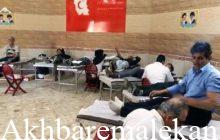 شرکت ۹۴ تن از مردم ملکان در پویش نذر خون فاطمی