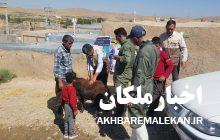 برگزاری اردوی جهادی اداره دامپزشکی شهرستان ملکان