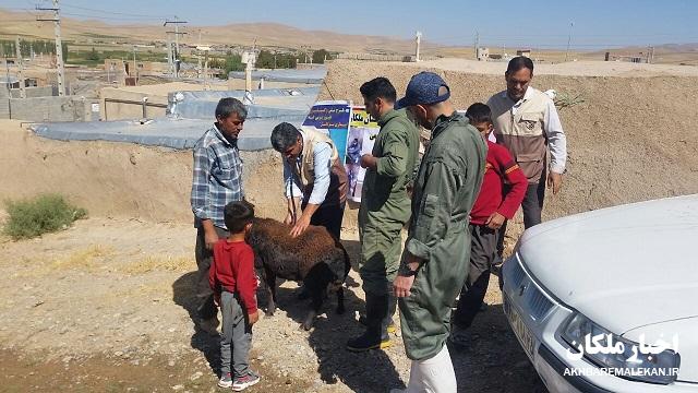برگزاری اردوی جهادی اداره دامپزشکی شهرستان ملکان