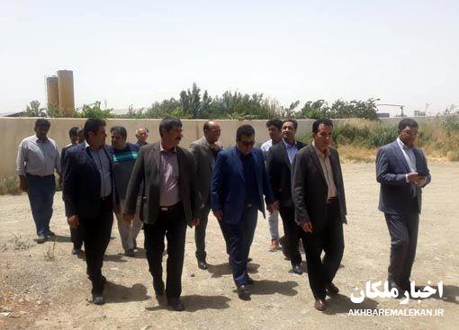 کارخانه تولید خوراک دام  ۵۰ تنی در شهرستان بناب احداث می شود