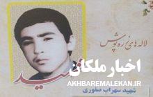 زندگینامه شهید سهراب صفوری