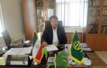برداشت ۱۰ هزار تن چغندرقند از ۲۰۰ هکتار اراضی شهرستان ملکان