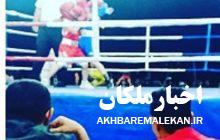 ملکان مقام سوم مسابقات بوکس انتخابی استان را کسب کرد