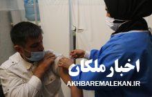 تزریق دز سوم واکسن کرونا در شهرستان ملکان به ۵۲ درصد رسید