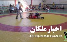 درخشش کشتی گیران ملکانی در مسابقات بزرگسالان استان