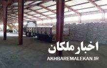 توزیع ۶۵ تن کود شیمیایی سولفات پتاسیم در بین کشاورزان شهرستان ملکان