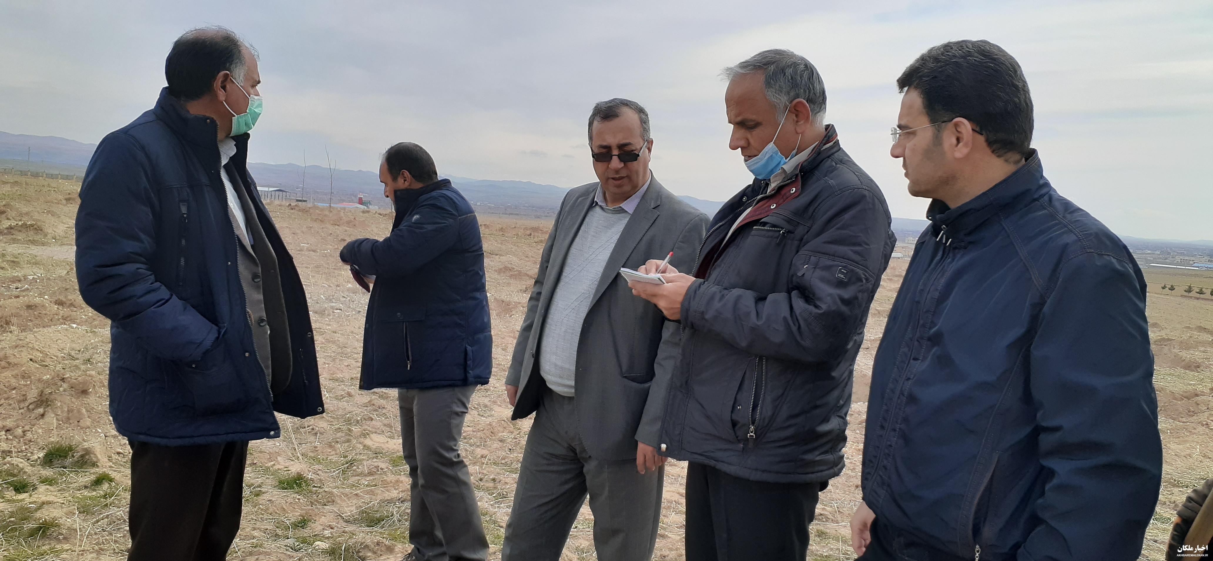 آغاز فاز نخست طرح کشت باغ گردو در دانشگاه آزاد اسلامی ملکان